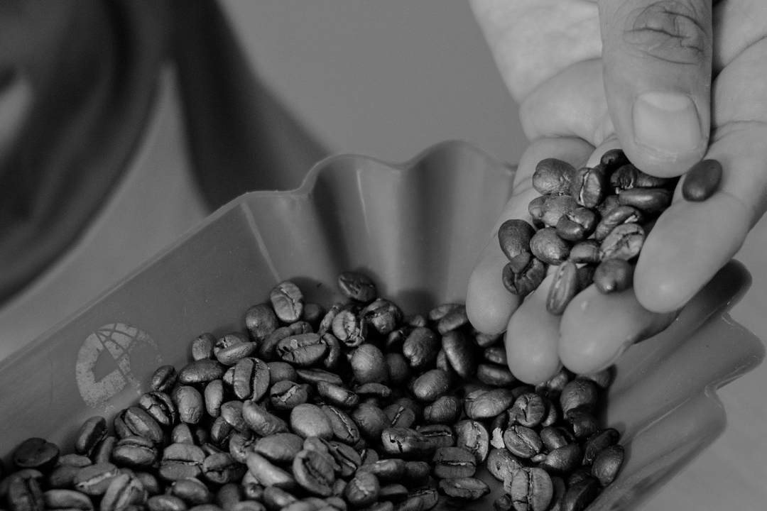 Tips prácticos para identificar un buen café