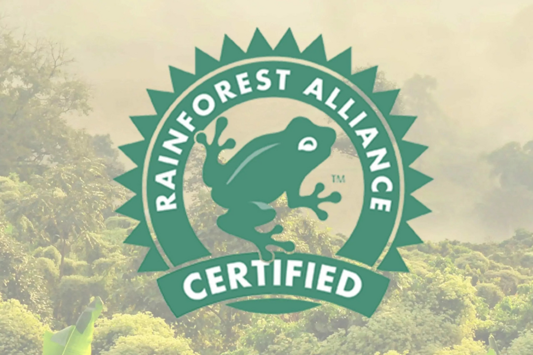¿Por qué es mejor un café certificado?