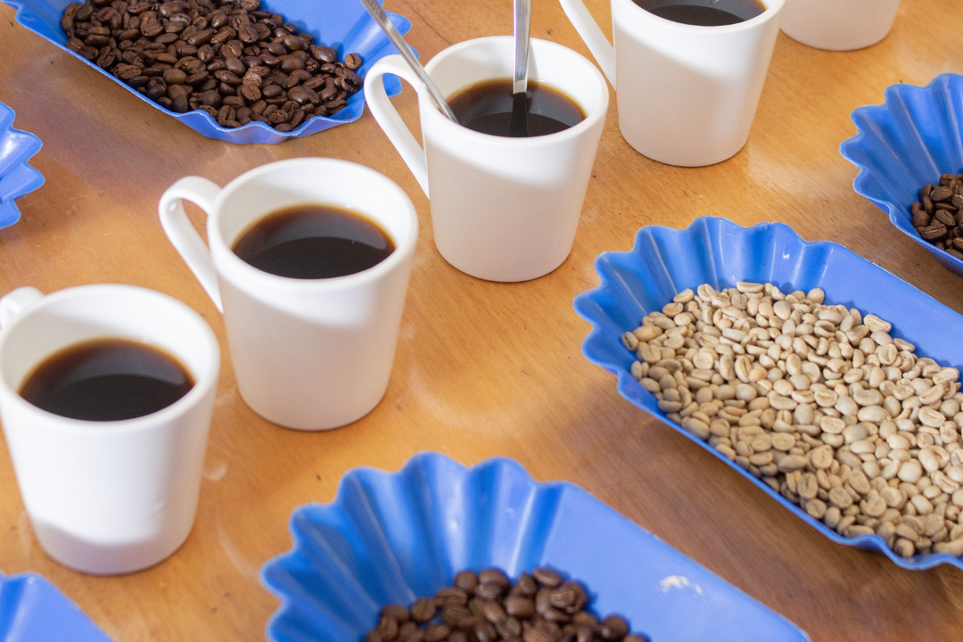 Tipos de tueste: ¿cómo afectan el sabor de tu café?