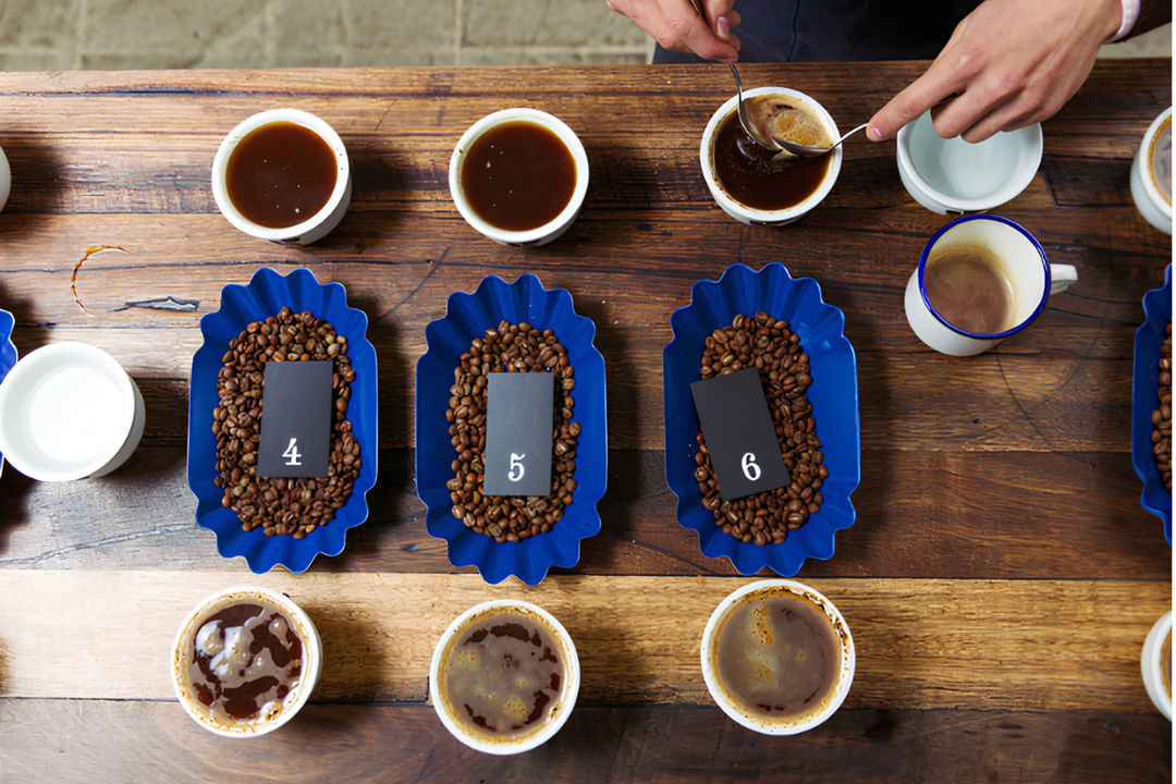 ¿Cómo hacer un cupping en la oficina y descubrir tu café como un profesional?