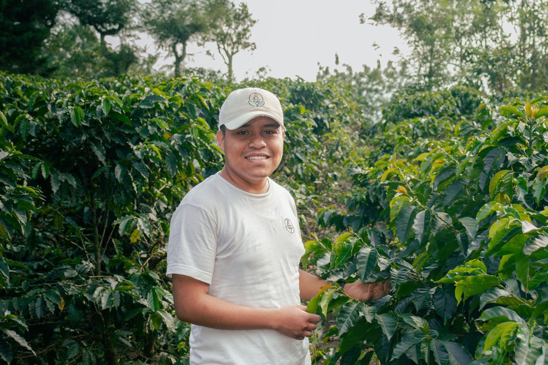 De la finca a tu taza